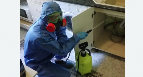 Уничтожение муравьев в квартире. Калининск