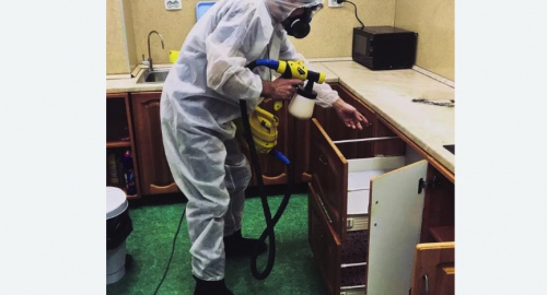 Уничтожение насекомых в квартире. Калининск