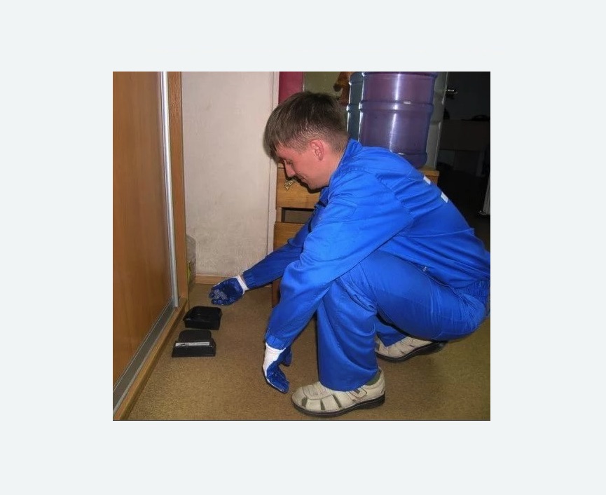 Дератизация крыс в Калининске