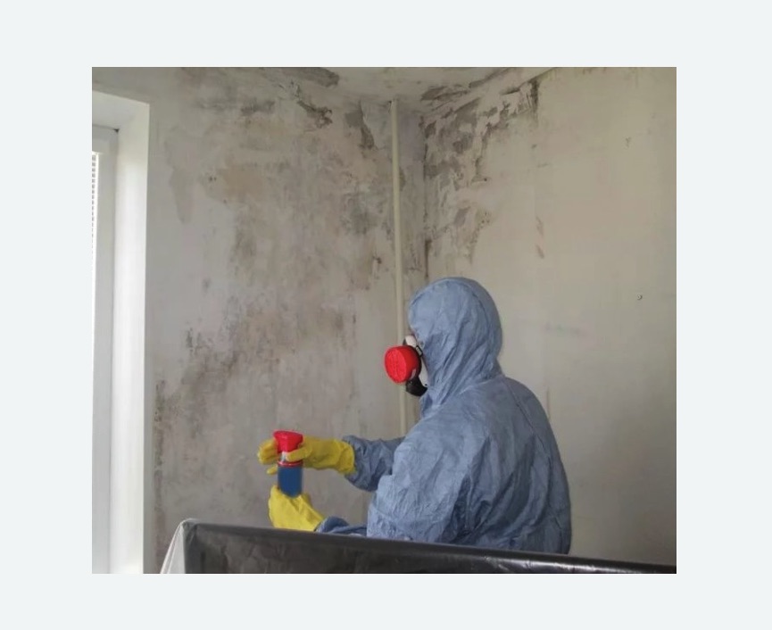 Удаление плесени в квартире в Калининске