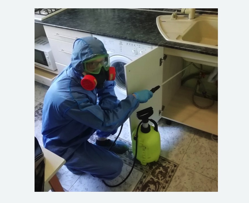 обработка от муравьев в квартире в Калининске